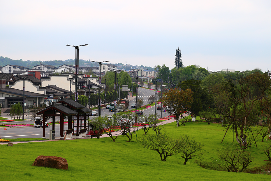 今年会jinnianhui园林绿化维护